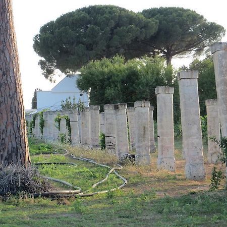 Agriturismo Occhineri Porto Cesareo Esterno foto
