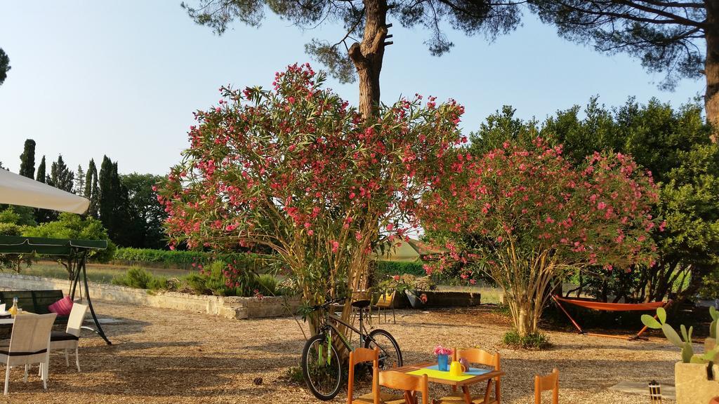 Agriturismo Occhineri Porto Cesareo Esterno foto