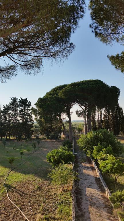 Agriturismo Occhineri Porto Cesareo Esterno foto