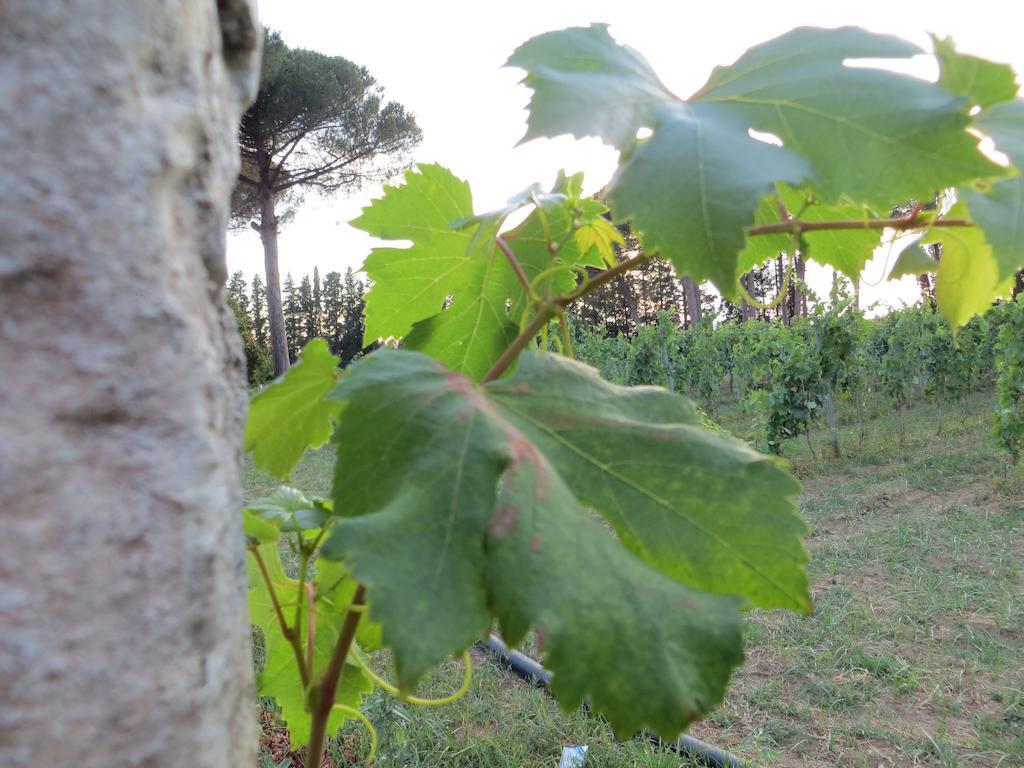 Agriturismo Occhineri Porto Cesareo Esterno foto