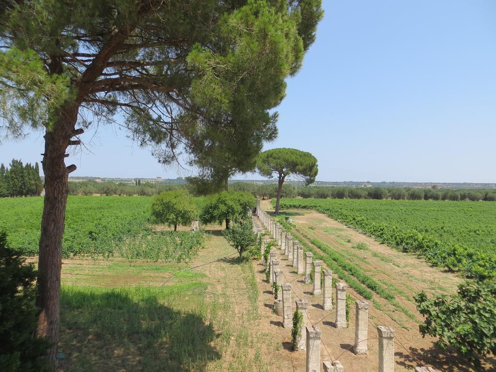 Agriturismo Occhineri Porto Cesareo Esterno foto
